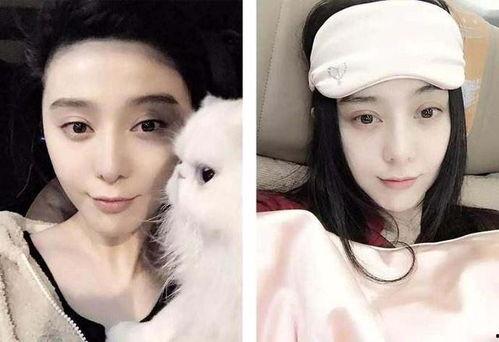 女明星吃瓜小说,女明星的甜蜜瓜田秘事  第2张