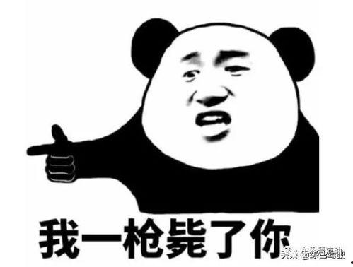 有瓜吃吗 回头,探寻背后故事与趣味  第2张