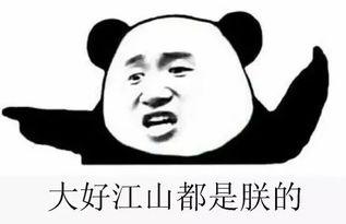 吃花群众还是吃瓜群,揭秘“吃花群众”与“吃瓜群”的独特生活态度  第3张