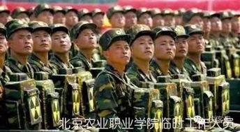 海军吃瓜群众,揭秘军中趣闻轶事  第3张