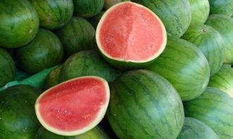 零基础吃瓜,轻松入门，畅享娱乐盛宴  第3张