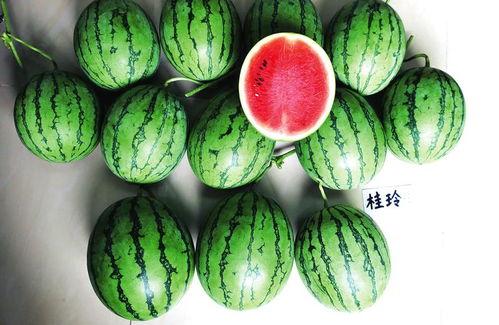 云浮吃瓜新闻,揭秘当地热点事件背后的故事  第3张