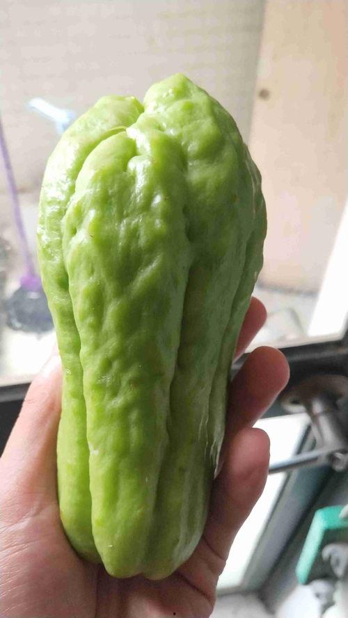 玉拇指瓜怎么吃,解锁美味新体验