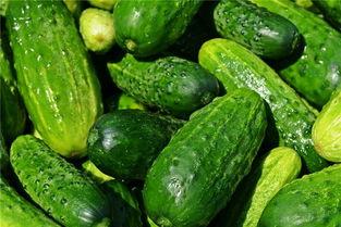 夜里梦见自己吃瓜,瓜果飘香，夜半梦回瓜田  第2张