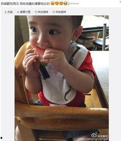 戴嘴套吃瓜  第1张