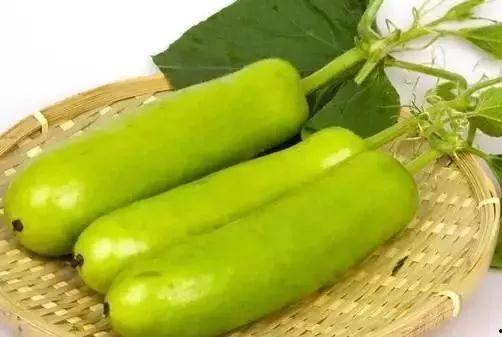 胡芦瓜可以吃吗,美味与营养并存的天然食材  第3张