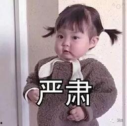 吃瓜的傻子  第3张