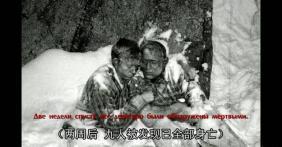 弹壳吃瓜事件,揭秘网络谣言背后的真相  第2张