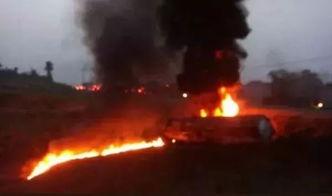 弹壳吃瓜事件,揭秘网络谣言背后的真相  第3张