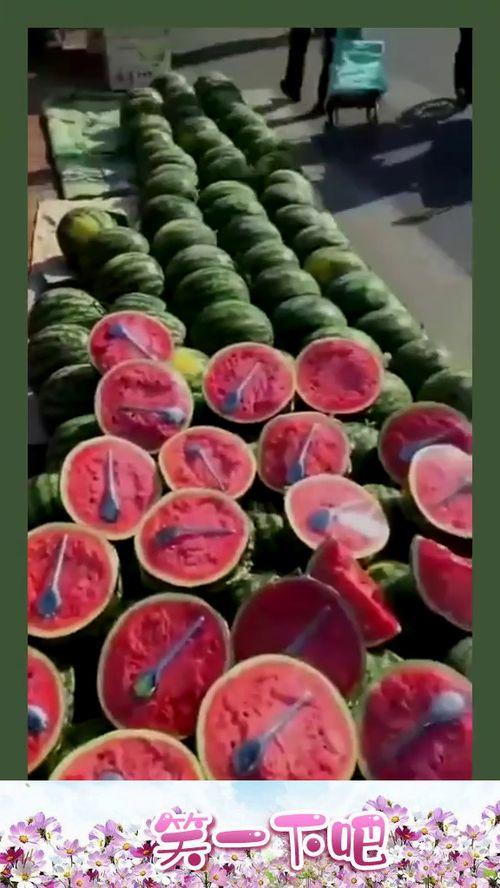 吃瓜商业头脑,揭秘瓜界商机与盈利之道  第2张