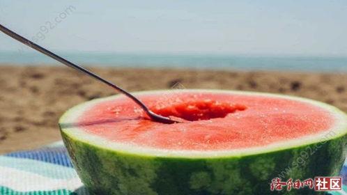 52吃瓜www,揭秘娱乐圈那些不为人知的幕后故事  第2张