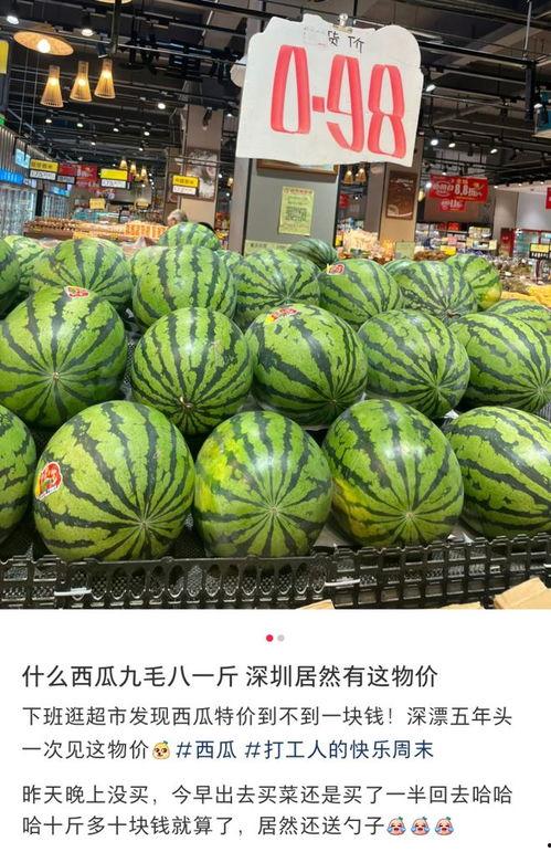 深圳到东莞吃瓜  第3张