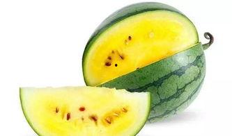 好吃鱼吃瓜,一场味蕾的盛宴