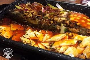 好吃鱼吃瓜,一场味蕾的盛宴  第3张