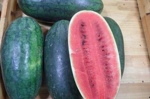 吃瓜几点,揭秘“吃瓜群众”背后的社会现象与心理解读