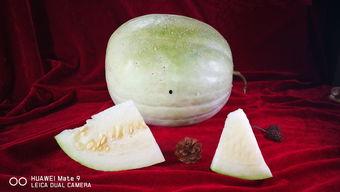 青玉白瓜怎么吃  第2张