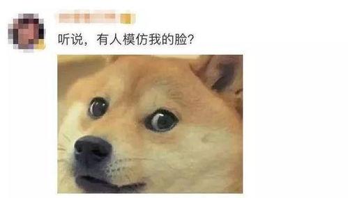 加油吃瓜,揭秘娱乐圈幕后故事与热点事件  第3张