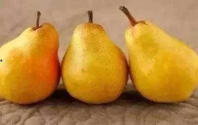 吃蜜不吃姜吃果不吃瓜,蜂蜜与水果的完美搭配  第2张