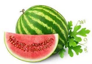 心雨风晚吃瓜,揭秘娱乐圈的瓜田秘闻  第2张