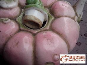 壶子瓜怎么吃,解锁美味新体验  第2张