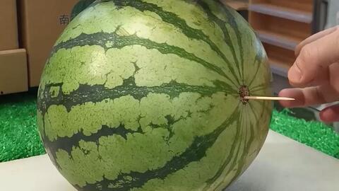 潍坊科技跳舞吃瓜,舞动青春，瓜香四溢的欢乐时光  第2张