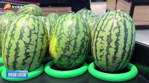 潍坊科技跳舞吃瓜,舞动青春，瓜香四溢的欢乐时光  第3张