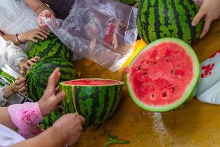 昆山吃瓜最新视频,最新视频揭露惊人内幕  第2张