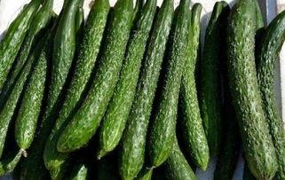 吃银瓜能减肥吗