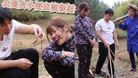 旧城吃瓜短剧,吃瓜短剧里的市井百态