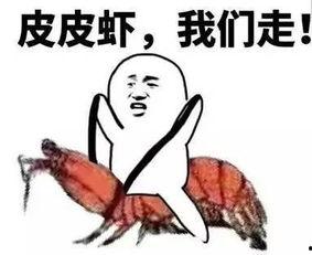 没有吃瓜的习惯,一位不吃瓜者的生活态度  第3张