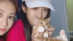 dualipa吃瓜,揭秘dualipa吃瓜背后的娱乐风云  第3张