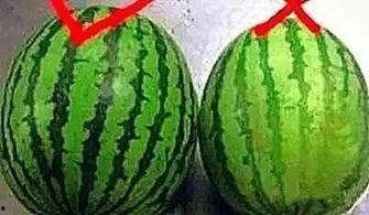 吃瓜不到30秒,揭秘娱乐圈最新热点  第2张