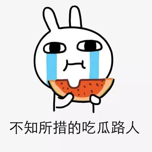 奋斗的吃瓜人  第2张