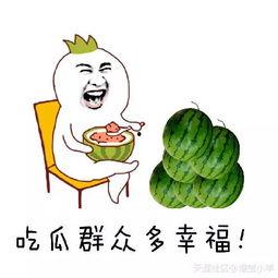 奋斗的吃瓜人  第3张