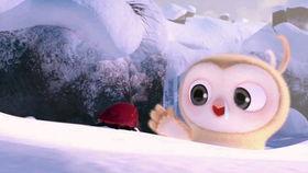 吃瓜有趣视频,趣味视频带你领略生活百态