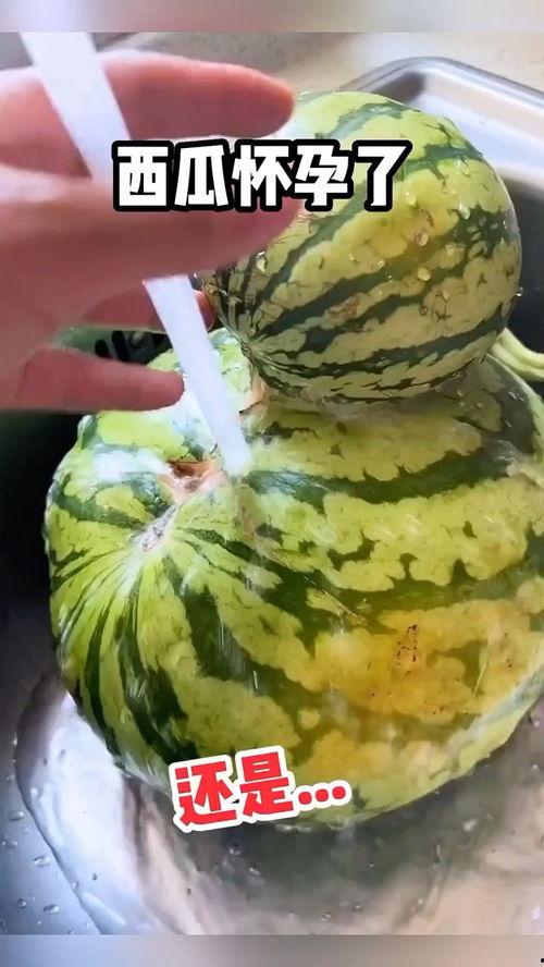 吃瓜有趣视频,趣味视频带你领略生活百态  第2张