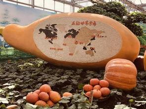 广幼吃瓜,揭秘校园里的那些事儿  第2张