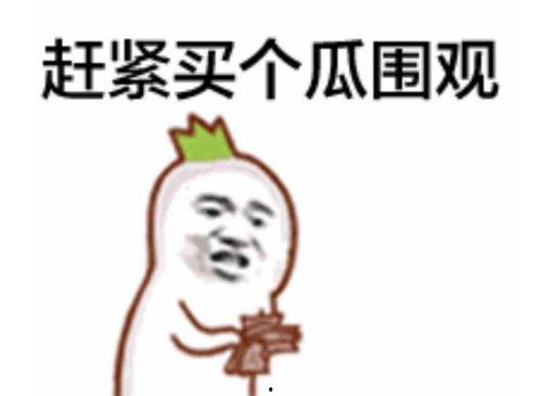 吃瓜群众的掌声,吃瓜群众共赏瓜界盛宴  第2张