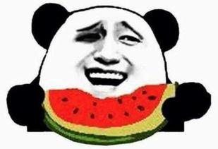 吃瓜群众的掌声,吃瓜群众共赏瓜界盛宴  第3张