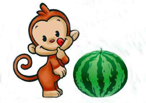 吃瓜表情说明什么道理,揭秘网络社交中的观察与反思