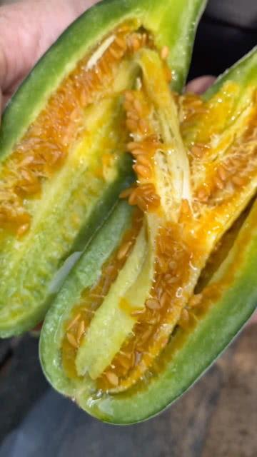 吃甜面瓜视频,一窥视频中的甜蜜瞬间  第2张