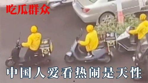 吃瓜不分大小,大小皆可，欢乐无限