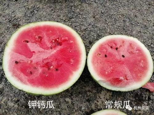 超大生瓜怎么吃,超大生瓜的多样食用攻略  第3张