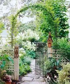 农村小院吃瓜聊天,邻里闲话话家常