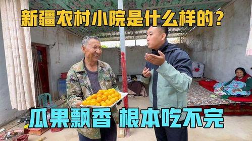 农村小院吃瓜聊天,邻里闲话话家常  第3张