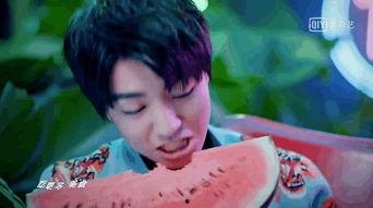 房东的猫吃瓜  第3张