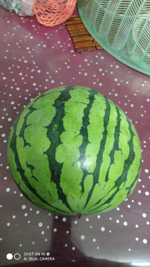 吃瓜涨肚子吗,吃瓜真的会涨肚子吗？揭秘瓜果的神奇效应  第2张