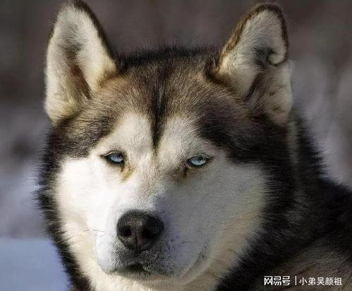 吃瓜憋笑,揭秘娱乐圈那些让人忍俊不禁的幕后故事  第3张