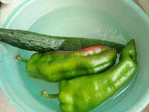 吃辣的再吃瓜,一场舌尖上的麻辣盛宴  第2张