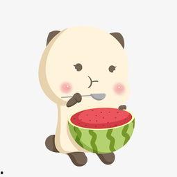 小熊吃瓜相片图片可爱,可爱指数爆表